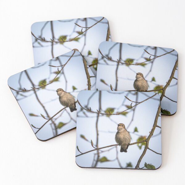 Item preview, Singer in spring designed and sold by PhotoLux.
