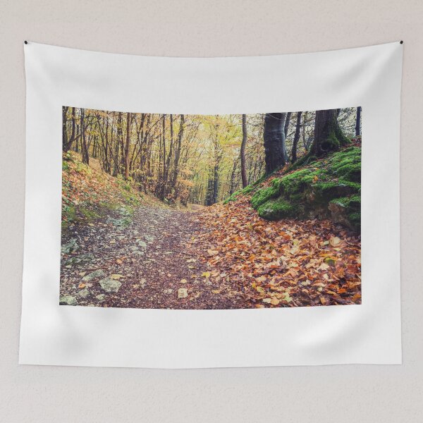 Item preview, Hike in the forest designed and sold by PhotoLux.