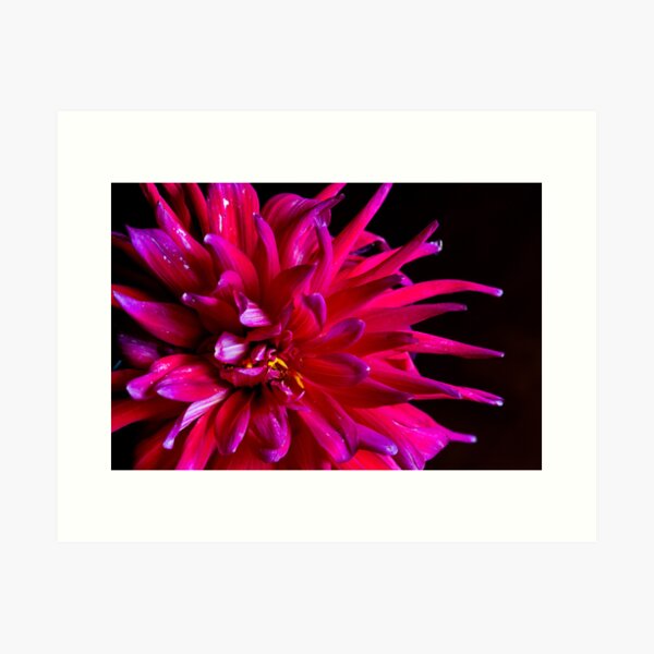 Item preview, Chrysanthemum designed and sold by Isabella Teng.