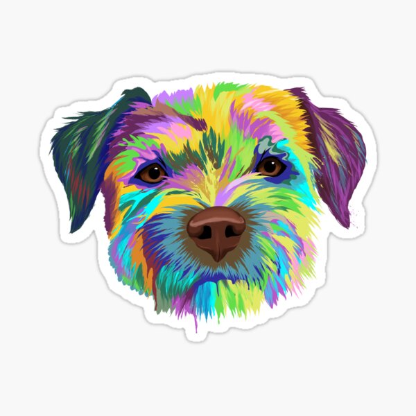 border terrier for sale wales