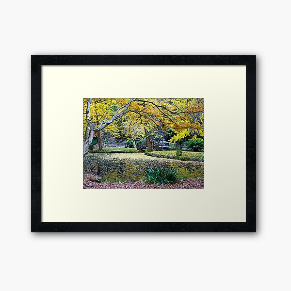 Item preview, Autumn leaves, Nicholas Gardens, Victoria , Australia. designed and sold by johnrf.