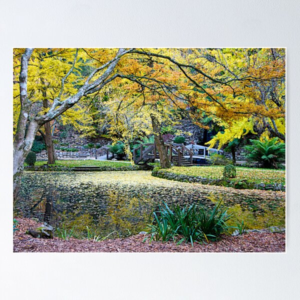 Item preview, Autumn leaves, Nicholas Gardens, Victoria , Australia. designed and sold by johnrf.