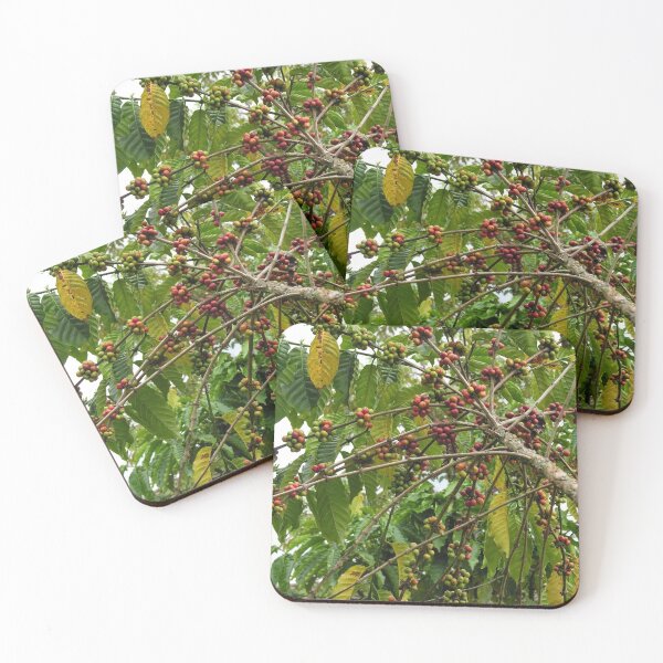 Item preview, Coffee Plant Shrub Branches with Coffee Beans Berries designed and sold by worldways.