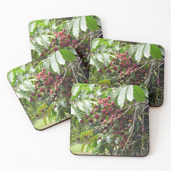 Item preview, Coffee Shrub Plant Branches with Coffee berries beans designed and sold by worldways.