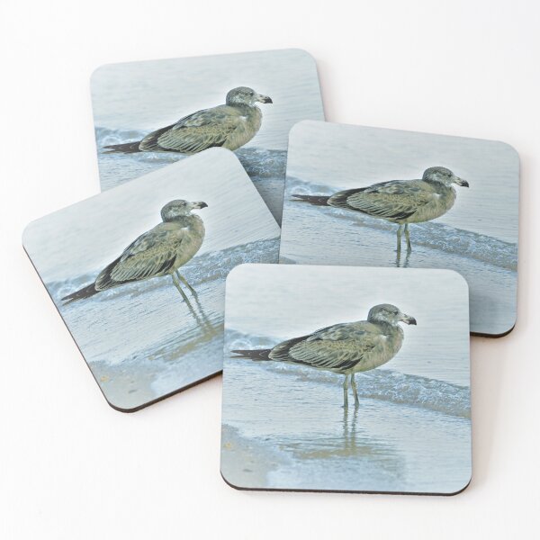 Item preview, Juvenile Pacific Gull on the Water's Edge designed and sold by imaginethis.