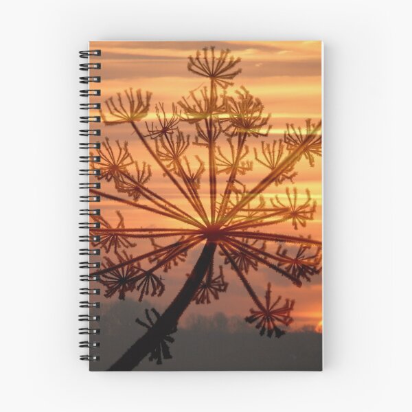 Item preview, Hogweed Winter Sunrise #2 designed and sold by Jo Nijenhuis.