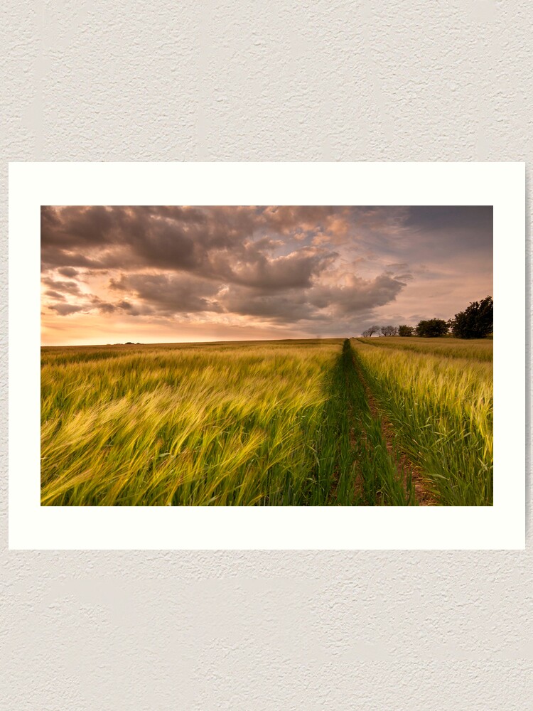 Alternate view of Tracks Art Print
