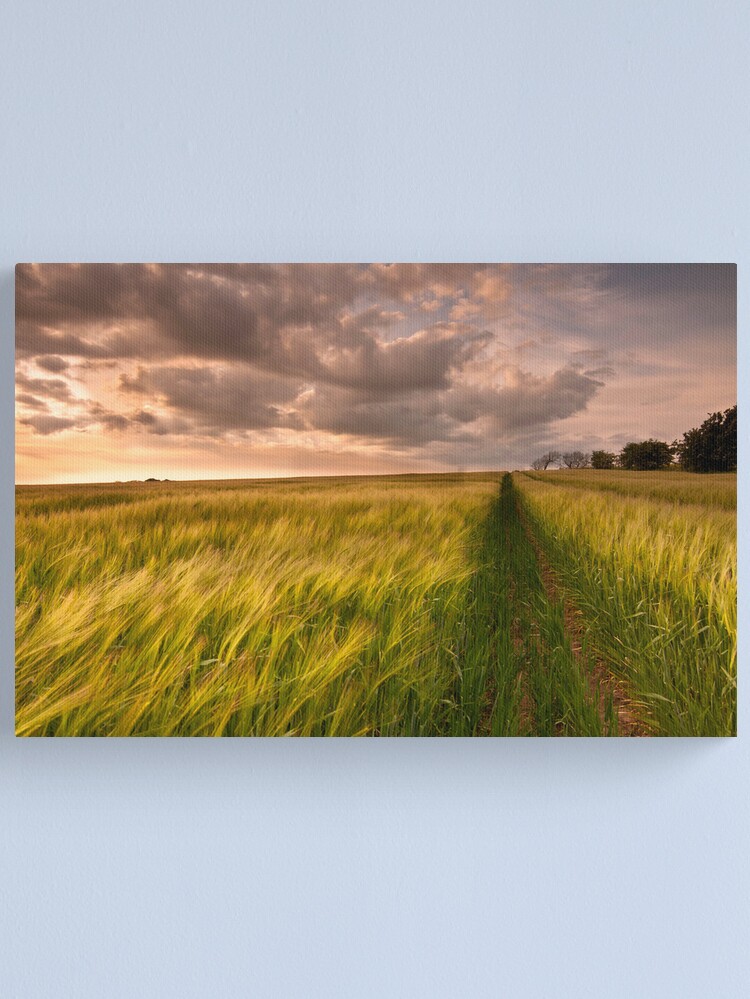 Alternate view of Tracks Canvas Print