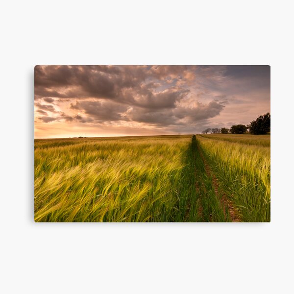Tracks Canvas Print