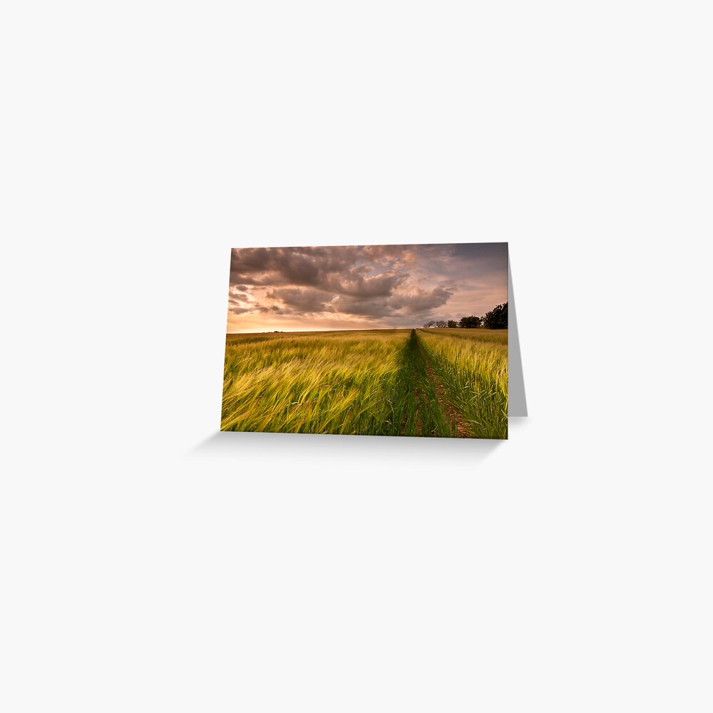 Tracks Greeting Card