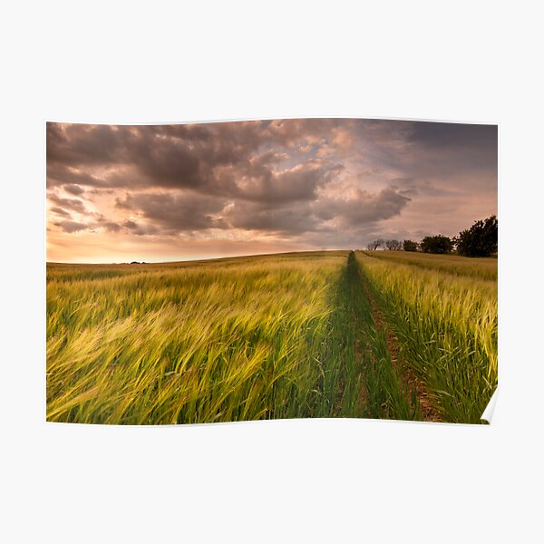 Tracks Poster