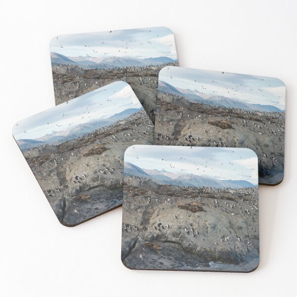 Item preview, Colony Of Sea Lions And King Cormorants Resting On A Small Island On The Beagle Channel, Tierra Del Fuego, Argentina designed and sold by WhimsyCanvasPrints.