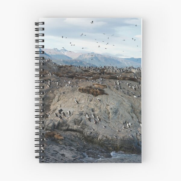 Item preview, Colony Of Sea Lions And King Cormorants Resting On A Small Island On The Beagle Channel, Tierra Del Fuego, Argentina designed and sold by WhimsyCanvasPrints.