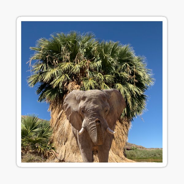 Item preview, Palm Desert designed and sold by GraceSage.