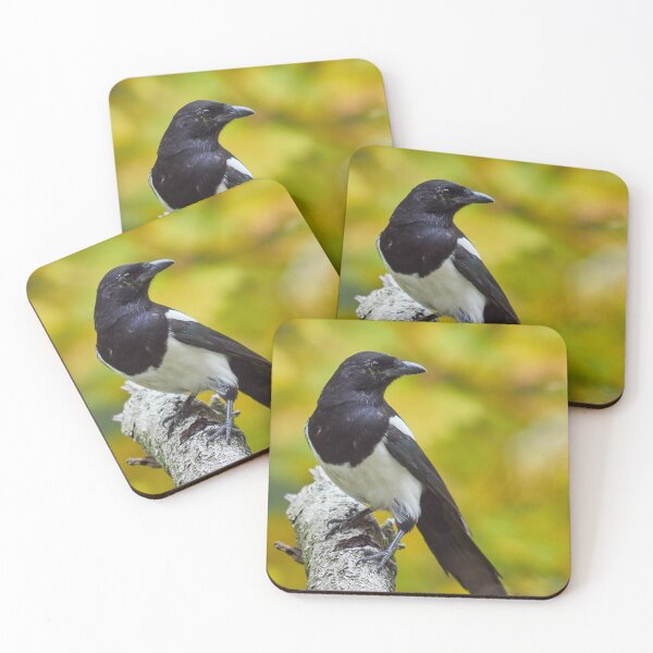 Item preview, Eurasian magpie designed and sold by Jouko Lehto Photography.