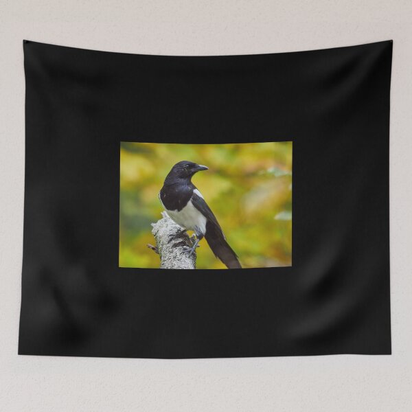 Item preview, Eurasian magpie designed and sold by Jouko Lehto Photography.