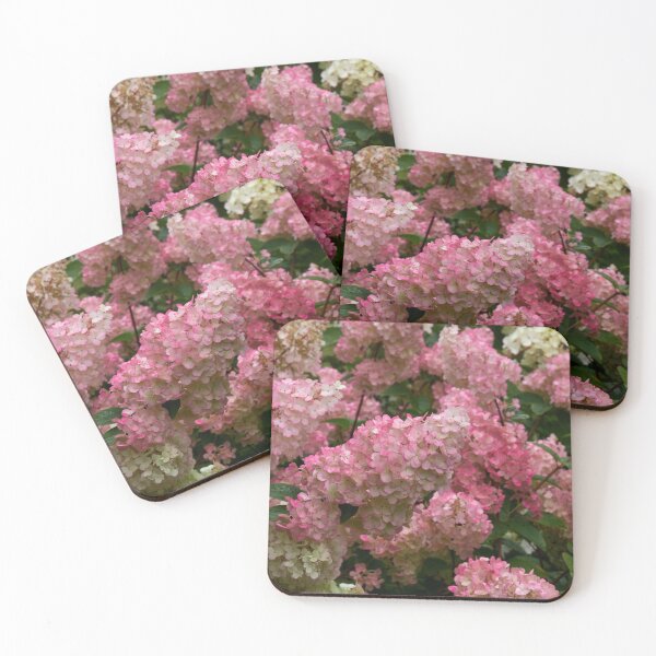 Item preview, The Pink Panicled hydrangea designed and sold by Jouko Lehto Photography.