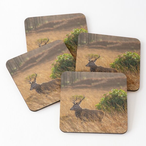 Item preview, Young Stag designed and sold by RobDeakin.