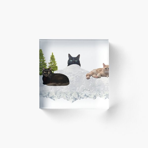 Blue Christmas V4 Acrylic Block