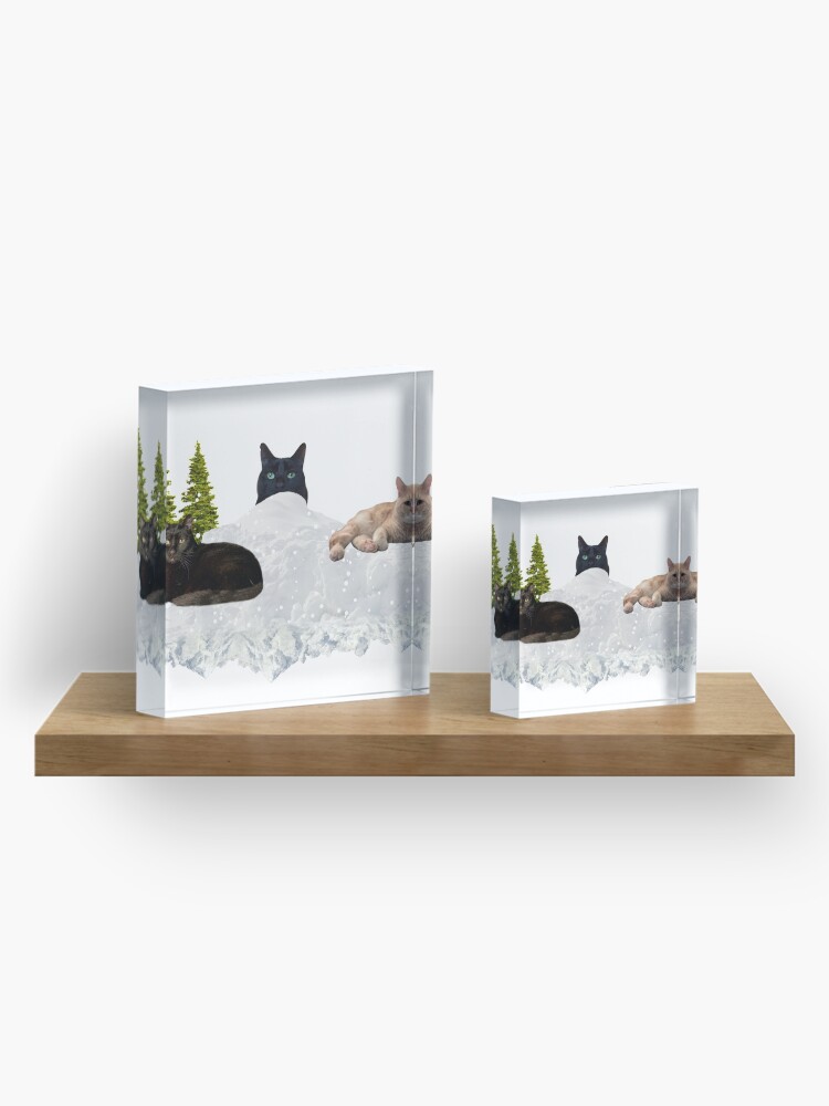 Alternate view of Blue Christmas V4 Acrylic Block