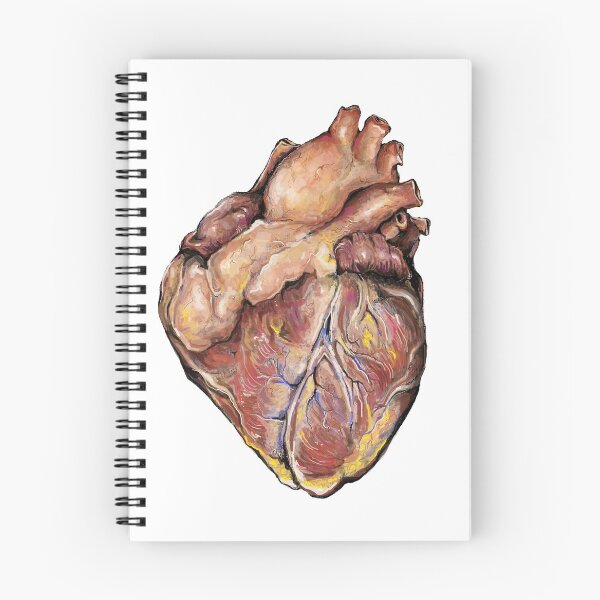 Item preview, Anatomical Heart designed and sold by MVanHyll.