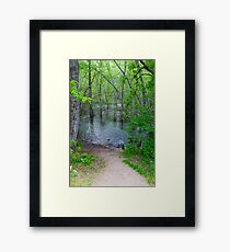 Path To The Water Framed Print