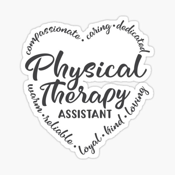 Physical Therapy Assistant Shirt Physical Therapist Assistant T