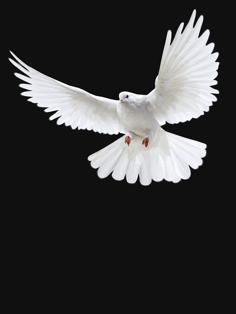 white flying pigeon by liesjes