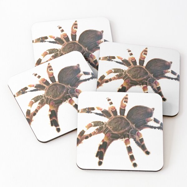 Item preview, spider designed and sold by josesouza.
