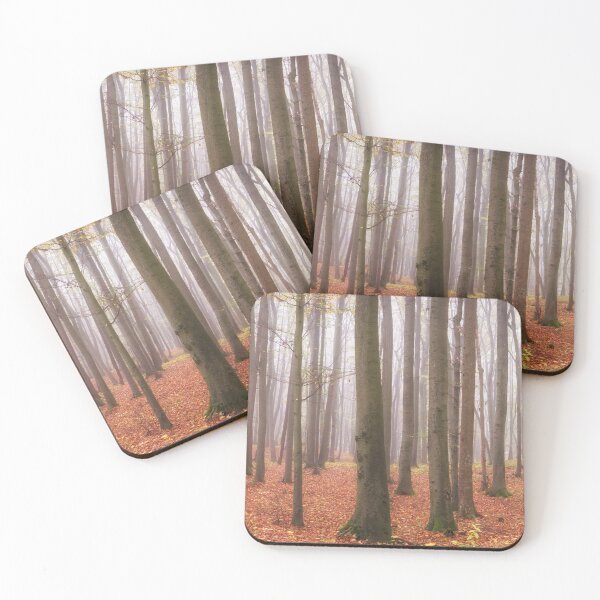 Item preview, Forest panorama designed and sold by PhotoLux.