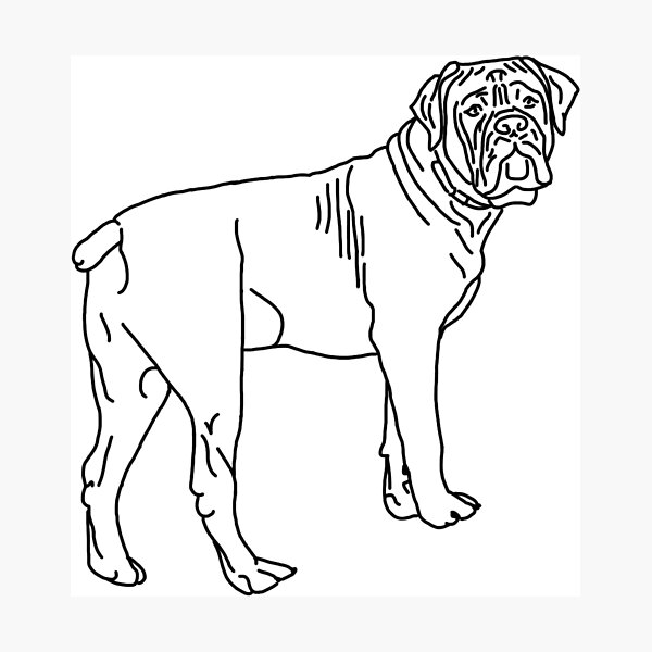 Item preview, Boerboel designed and sold by Blue Kirkpatrick.