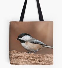 Black-Capped Chickadee Tote Bag