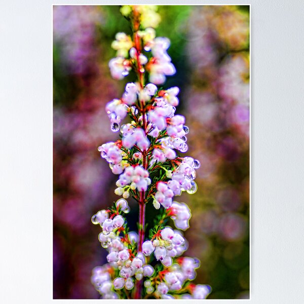 Item preview, Perfect Imperfections.... designed and sold by Sharon House.