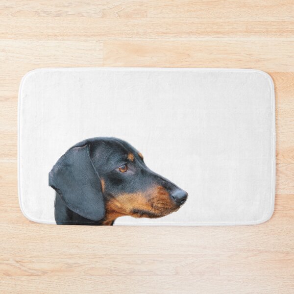 Item preview, Dachsund designed and sold by Gary Chadbond Photography.