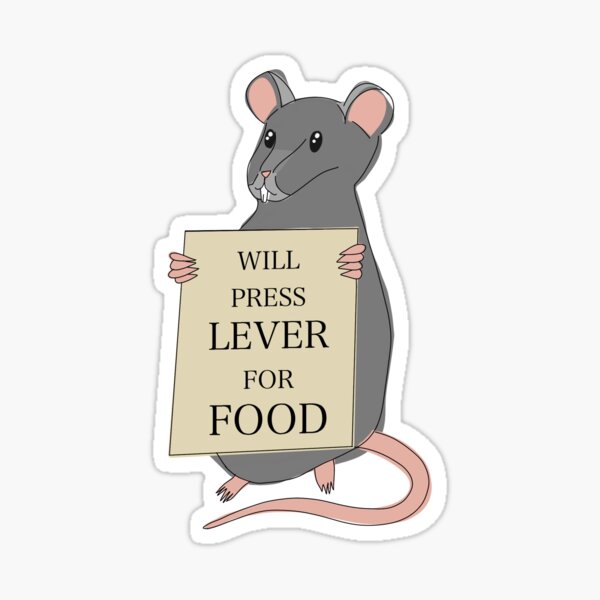 Skinner's Lever Rat