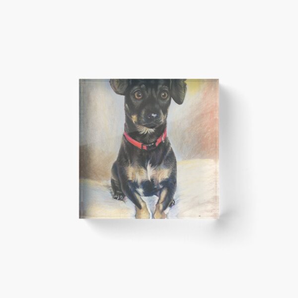 Artikelvorschau, Toby der kleine Teckel (Daschund) entworfen und verkauft von Rose Parker.
