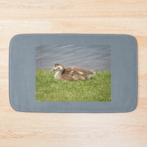 Item preview, Cute Egyptian Goose Gosling Photograph designed and sold by naturegallery.