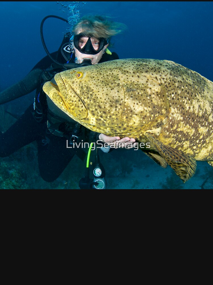 Chris petting a Goliath Grouper by LivingSeaimages