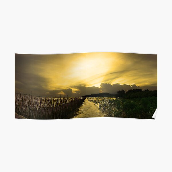 Vespere Mangrove - HDR panorama mangrove beach Poster