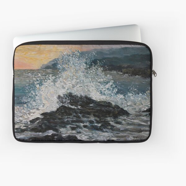 Point No Point Mid-storm Laptop Sleeve