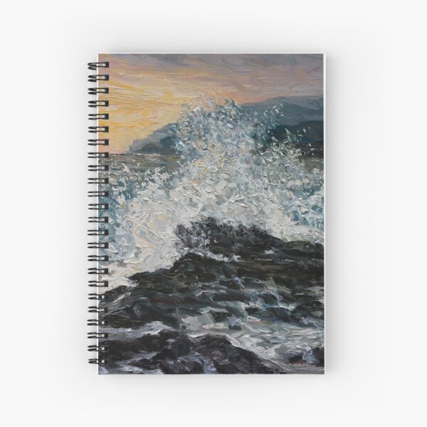 Point No Point Mid-storm Spiral Notebook