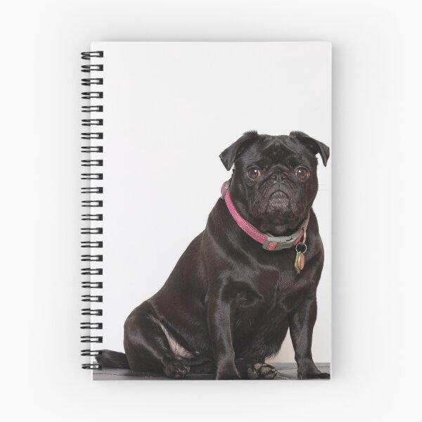 Item preview, Lilly the pug designed and sold by Sam Mitchell.