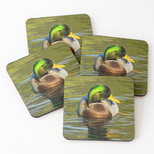 Item preview, Mallard Duck with bright green head designed and sold by cdbeemer.