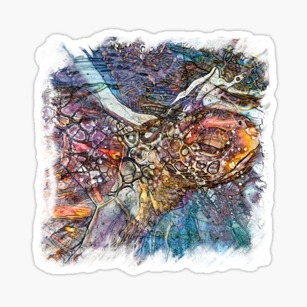 The Atlas Of Dreams - Color Plate 150 Sticker