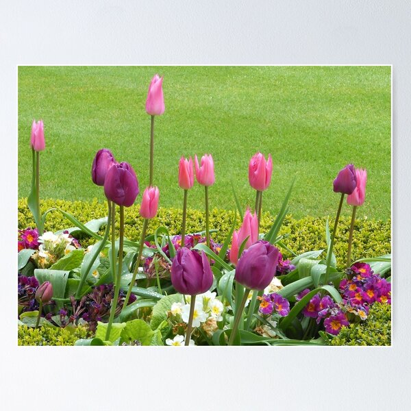 Item preview, Tulips and Primroses designed and sold by Kathryn Jones.
