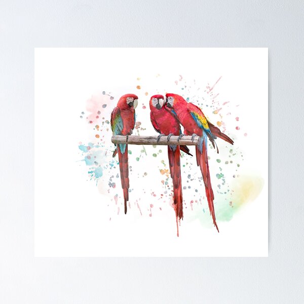 Item preview, Digital Watercolor painting Macaw Parrots  On White background designed and sold by svetlanna.