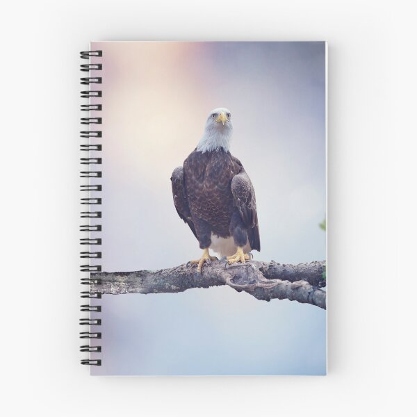 Item preview, American Bald Eagle Perching on a tree designed and sold by svetlanna.