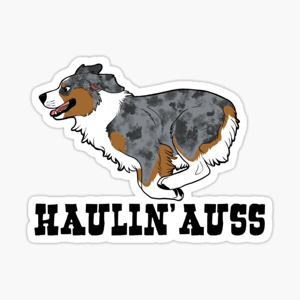 HAULIN’ AUSS (blue merle) Sticker