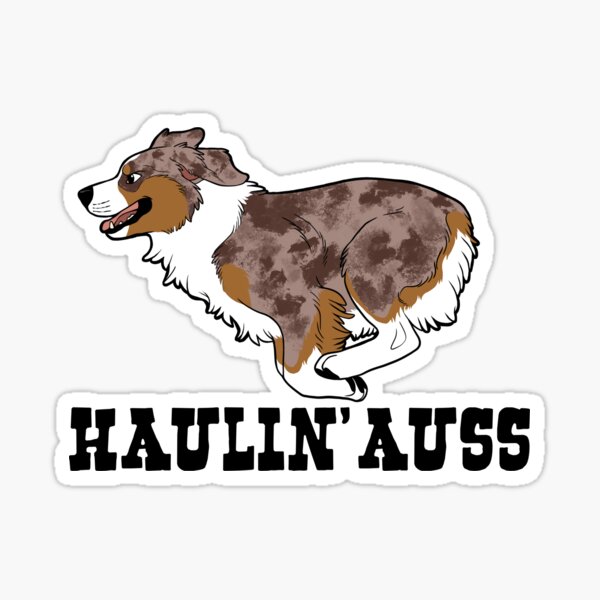 HAULIN’ AUSS (red merle) Sticker