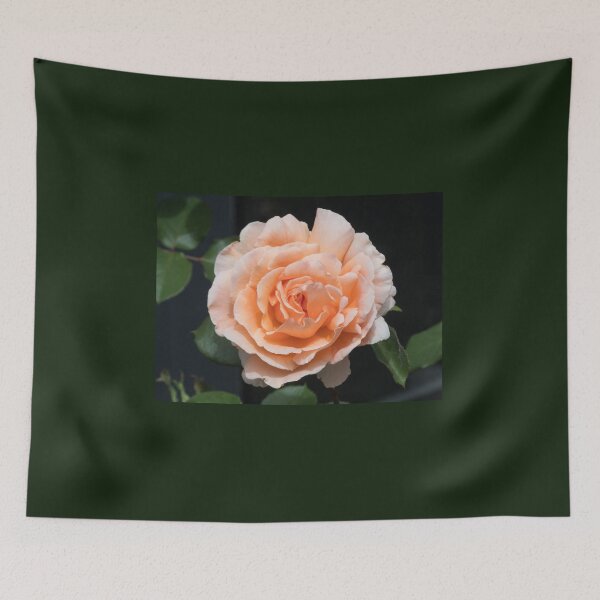 Item preview, Single apricot coloured rose flower (Just Joey variety) designed and sold by Connie Pinson.